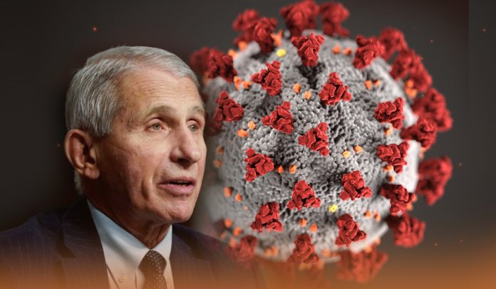 Dr. Anthony Fauci: Omicron will “ultimately find just about everybody”